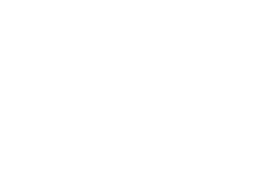 leo-express-logistik white